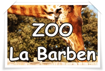 ZOO LA BARBEN : le plus grand zoo du sud-est //Département Limitrophe//
