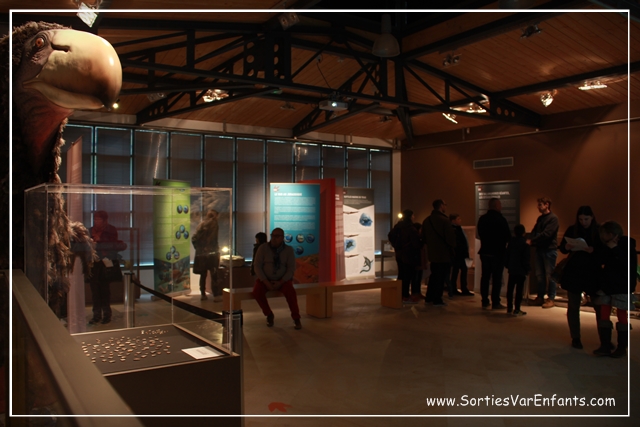MUSEUM D'HISTOIRE NATURELLE De Toulon et du Var, la visite culturelle à ...